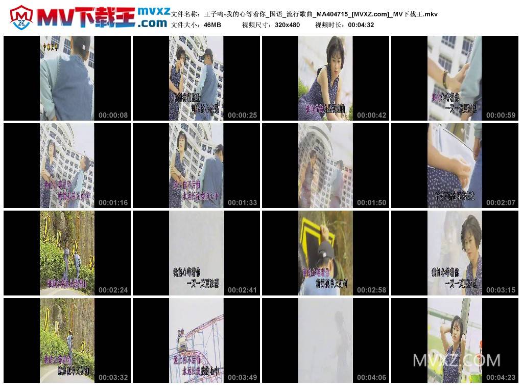 王子鸣-我的心等着你_国语_流行歌曲_MA404715